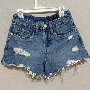 Blank NYC Frayed Light Blue Distressed Denim Shorts